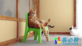 1563948037842429.png QQ截图20190724135931.png