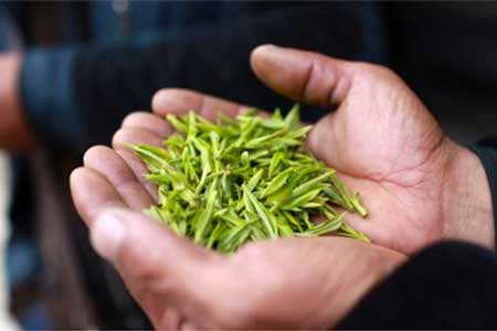 茶叶门店怎么开发客户