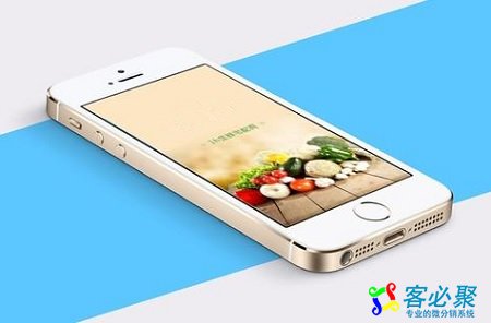 1582515680427645.jpg 1.jpg