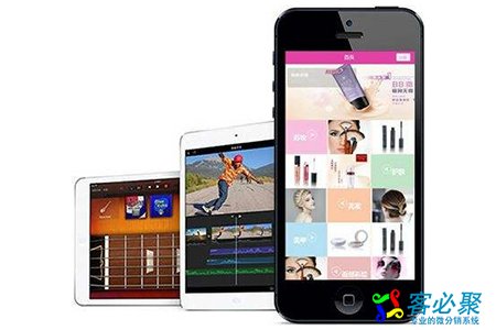 1576123523805086.jpg 776.jpg