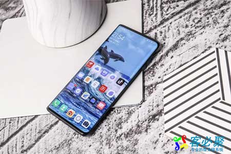 1571637850607823.jpg 8484.jpg