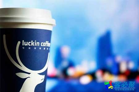 1558682557699428.jpg 133.jpg