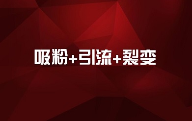 怎么有效的吸粉