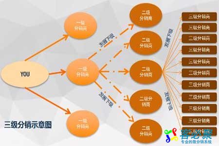 1559211954254076.jpg 11.jpg