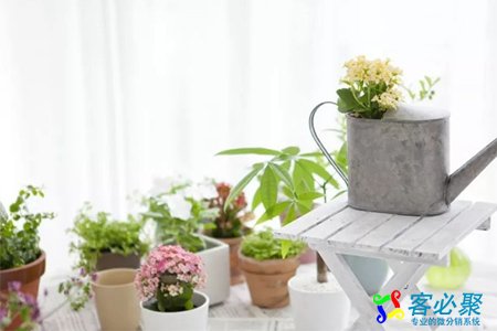 1554974698357578.jpg 12.jpg