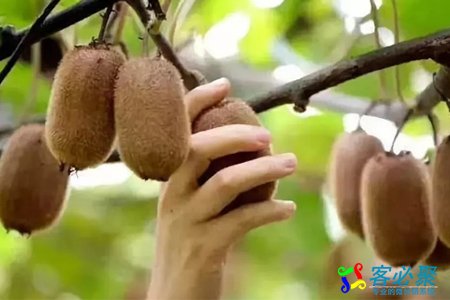 1554975195669129.jpg 32.jpg