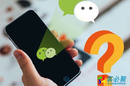 1550807563766501.jpg 9.jpg