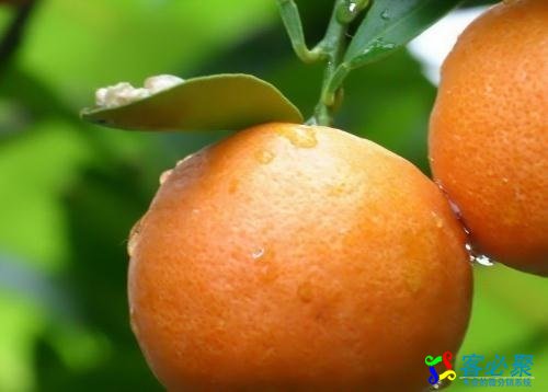 1561713599945717.jpg 3.jpg