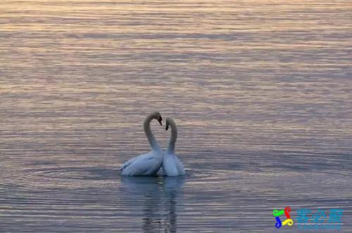 1550132849859307.jpg 7.jpg