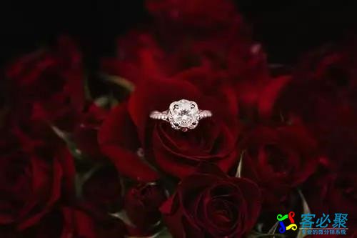 1550132872731925.jpg 9.jpg