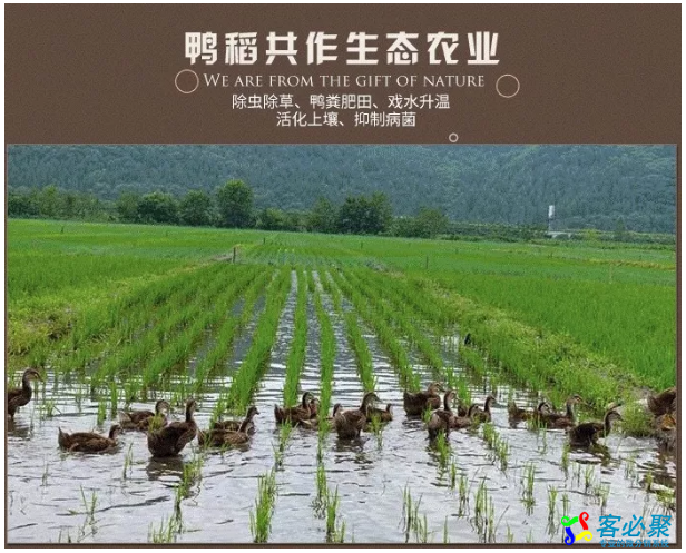 1547805972165137.png QQ截图20190118180606.png