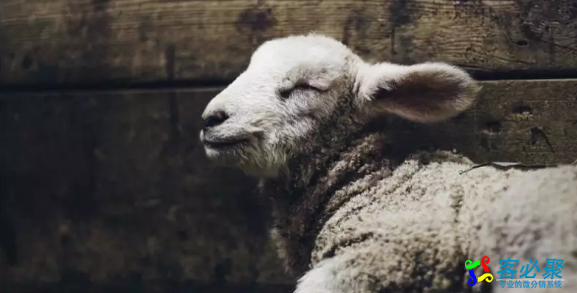 1548215649838151.png QQ截图20190123115354.png