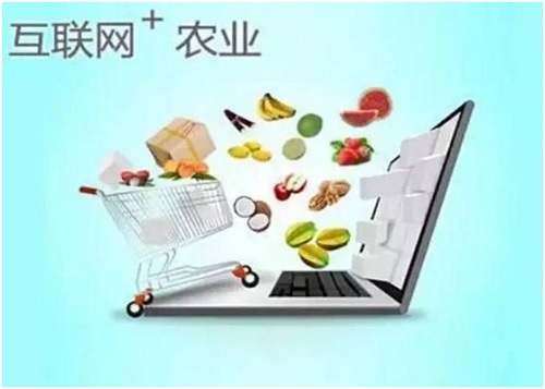 2018年农村网店数量将会有1200万家